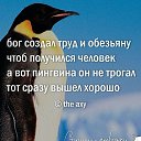 ���� �������, �����-���������, 59 ��� - ��������� 21 ���� 2015 � ������ ���� ����������