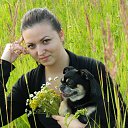 ���� �����, ������ - ��������� 19 �������� 2015 � ������ ���� ����������