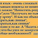  , , 64  -  31  2015    