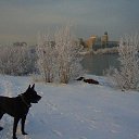  , , 45  -  3  2015    ...