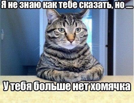 ))) - 28  2015  12:49