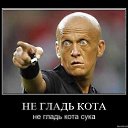 ���� ���������, ������ - ��������� 25 ���� 2015