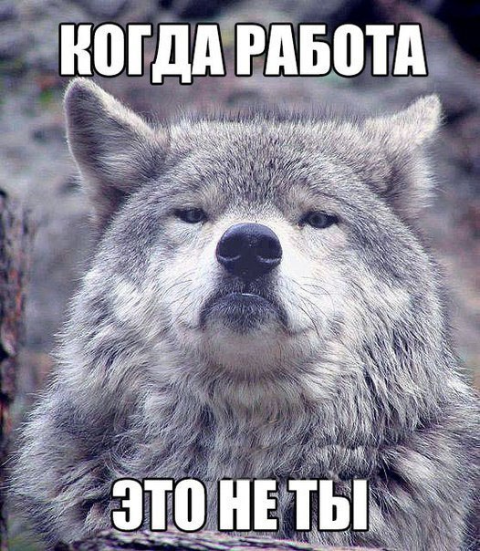 Волк на все случаи жизни. - 5