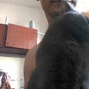 ���� �����, ���������, 33 ���� - ��������� 23 ��� 2015 � ������ ���� ����������