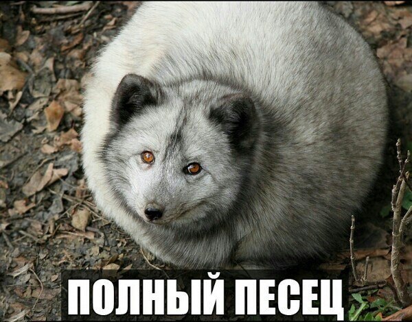       - 14  2015  23:55