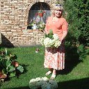 ���� �������, ������ ��������, 71 ��� - ��������� 8 ������� 2015 � ������ ���� ����������