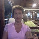 ���� ����� 2013