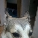 ��� �� ������� ���� ����������