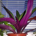 ���� ���, ����� - ��������� 9 ������� 2015 � ������ ���� ����� � �����������!�