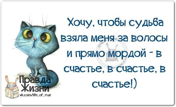   - 24  2015  23:51