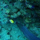 ���� �������, ����������, 51 ��� - ��������� 29 ������ 2015 � ������ ���� ����������