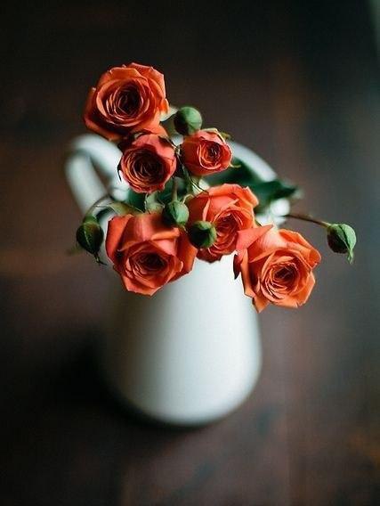 ...�����-����� ��� - 6