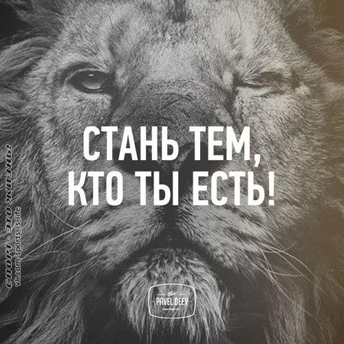  -   - 22  2015  19:44