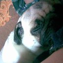 ���� ����, ���������, 60 ��� - ��������� 28 ���� 2015 � ������ ���� ����������