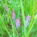  , -, 43  -  17  2015   