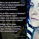 ���� ����, �����, 39 ��� - ��������� 24 ��� 2015 � ������ ������ ��������