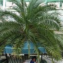  , , 73  -  24  2015    2015.