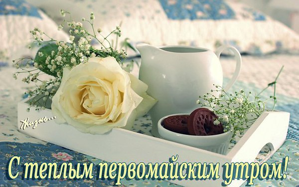  - 1  2015  08:41