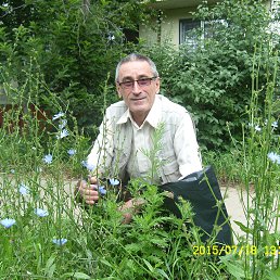 ���� �����, ���������, 77 ��� - ��������� 6 ������� 2015