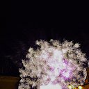 ���� ����, �������, 37 ��� - ��������� 29 ������� 2015 � ������ �����ײ»