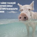  Max, -, 44  -  29  2015    