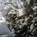 ���� �������, �������� - ��������� 23 ������ 2015 � ������ ��������� �����