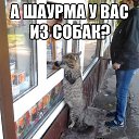 ���� �����, �����, 48 ��� - ��������� 26 ���� 2015 � ������ �12 -�