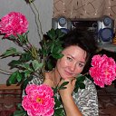 ���� �������, �������, 62 ���� - ��������� 30 ���� 2015 � ������ ���� ����������