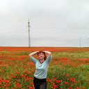  , , 46  -  11  2015   ,  !