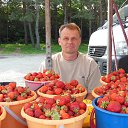 ���� ���������, �����������, 54 ���� - ��������� 29 ��� 2015 � ������ ���� ����������