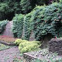 ���� Ila, �������, 38 ��� - ��������� 25 ���� 2015 � ������ ������ ��������