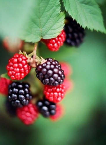   - 5  2015  20:31 - 5