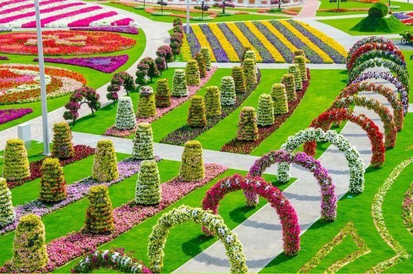 -10  .1.  2.   Dubai Miracle Garden3.   ... - 2