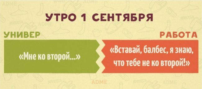 10   ,       - 8