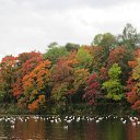 ���� Elena, �������, 70 ��� - ��������� 19 �������� 2015 � ������ ���� ����������