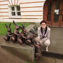 ���� ������, ��������� - ��������� 20 �������� 2015 � ������ ���� ����������