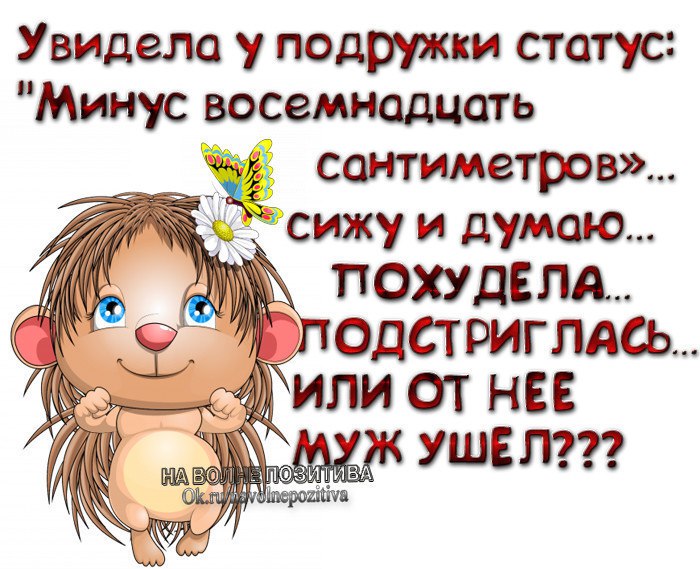    - 6  2015  23:31