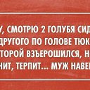 ���� ��������, ������� - ��������� 19 ������� 2015 � ������ ������ ��������