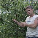 ���� �����, ������ ��������, 44 ���� - ��������� 8 �������� 2015 � ������ ���� ����������