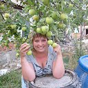 ���� ��������, ����������, 46 ��� - ��������� 16 ���� 2015 � ������ ���� ����������