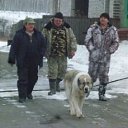 ���� Wolf, ��������, 53 ���� - ��������� 8 �������� 2015 � ������ ���� ����������