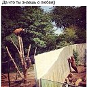 ���� �������, �������, 75 ��� - ��������� 11 ���� 2015 � ������ ������ ��������