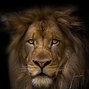 ���� Yura, ���������, 53 ���� - ��������� 12 �������� 2015