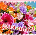  Leyla, , 52  -  22  2015    