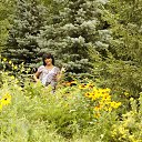  , , 60  -  23  2015     !