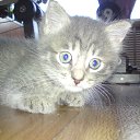 ���� ������, �������, 47 ��� - ��������� 29 ������ 2015