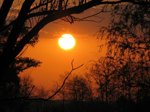 Oleg - 27  2015  17:51 - 3