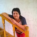 ���� �����, �����������, 49 ��� - ��������� 24 ���� 2015 � ������ ���� ����������