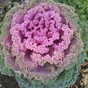 ���� �����, �������, 66 ��� - ��������� 29 ���� 2015 � ������ �����ۻ