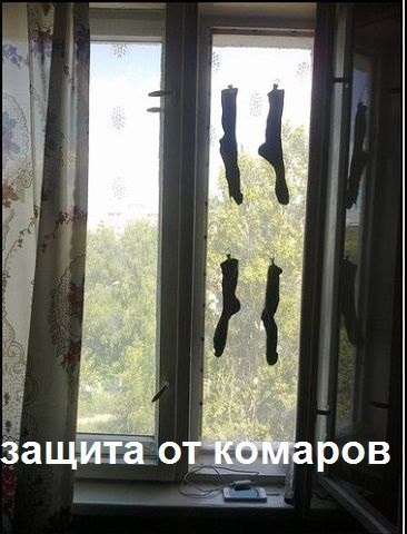 ������������ ���� - 20 ���� 2015 � 10:17